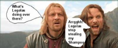 volage de shampoing